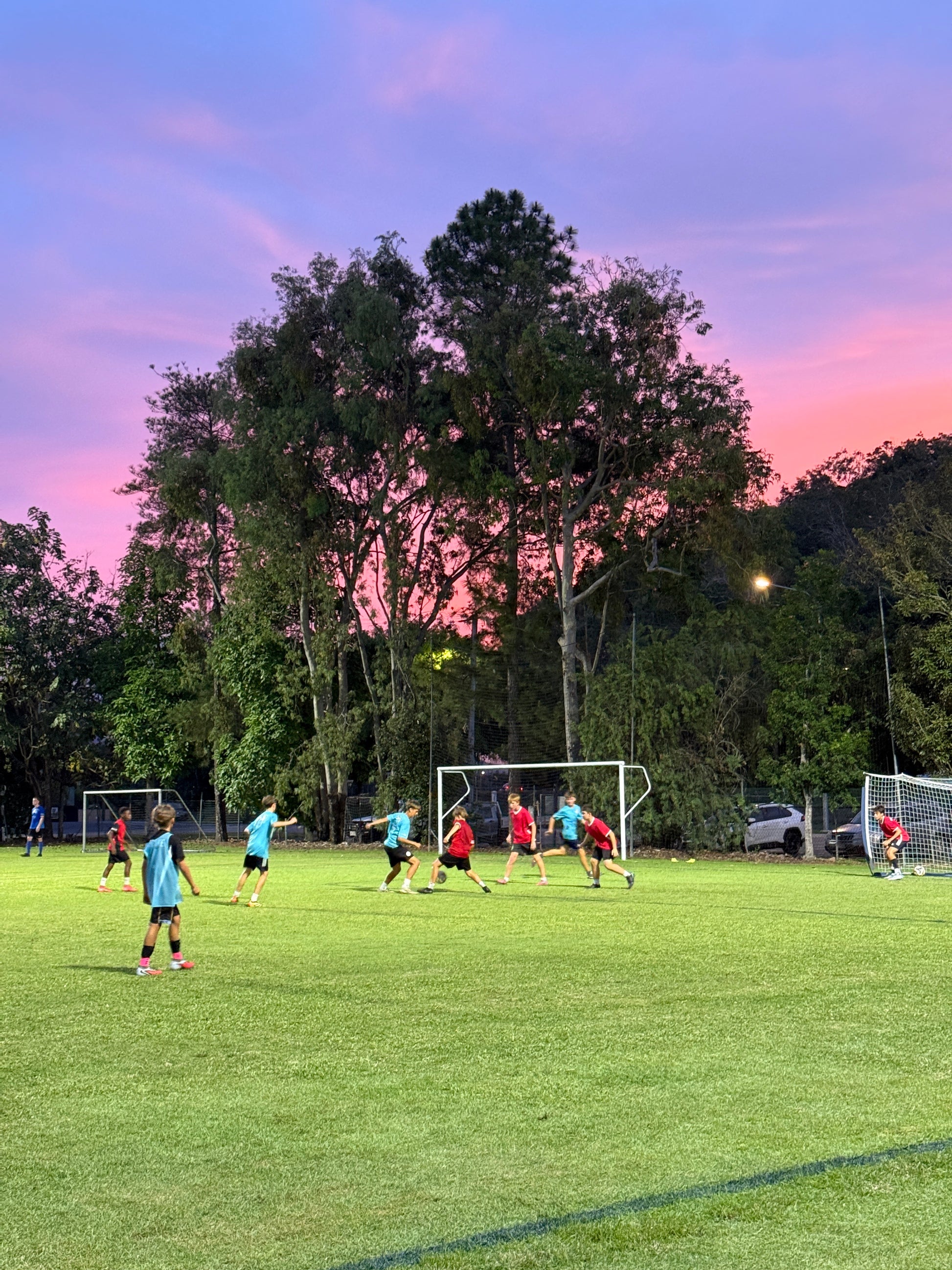Soccer game in progress on a field with trees and a sunset sky.